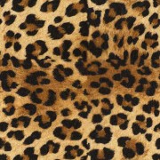 Leopar-3